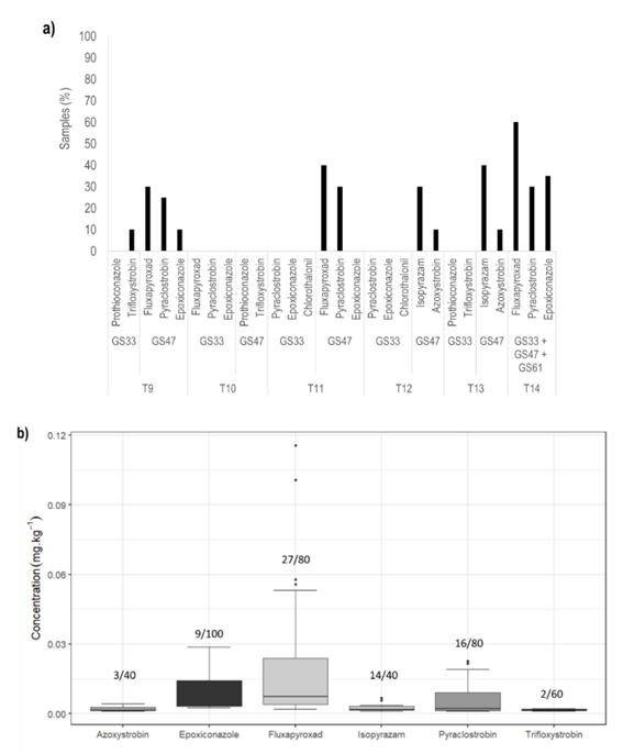 a. Percentage of
frequency of samples with fungicide residues detected at or above the limits of
quantification(37)
in treatments with double or triple application of fungicides in all
experiments. Frequency was estimated based on the analysis of 20 samples per
treatment. b. The concentration of
fungicide residues detected was expressed in mg kg-1 for each of the
active ingredients studied. The values in the bars represent the number of
samples at or above the limit of quantification(37)
out of the total number of samples that could have contained that fungicide