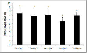 Population of the
colonies at the end of the River disease period