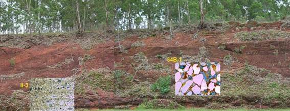 Rivera Formation outcrop. Route 5, km 480. Sampling Points for Thin
Sectioning