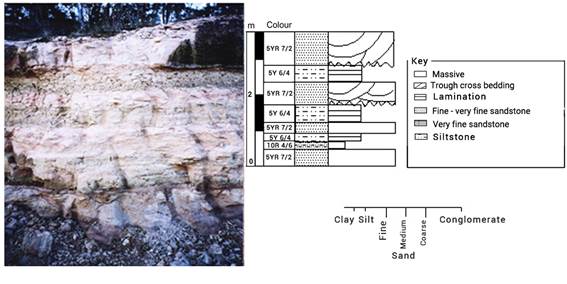 Outcrop and profile of the Tacuarembó Formation(14)