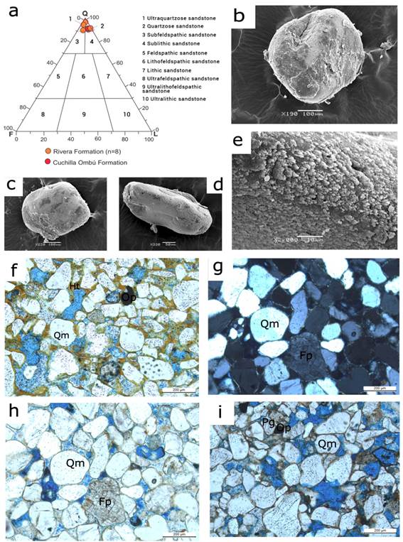 a. Classification of the sandstones of the Rivera and
Cuchilla Ombú Formations.
b-e. Microphotographs taken with a scanning electron microscope (b-c of the
Rivera Formation and d-e of the Cuchilla Ombú Formation), rounded and of good sphericity clasts,
with polished surface, typical of clasts of aeolian origin. e. Detail of (d)
showing clays as a grain coating. f. Clast-supported quartz arenite, with very
good granulometric selection, where the hematite cement is observed coating the
clasts. g-h. Well selected subarkose, with tangential
and concave-convex contacts, where microcline and orthoose
clasts are observed; the cement corresponds to hematite and calcite. (g with
crossed nicols). i. Quartz sublithic arenite, with good to moderate selection,
contacts between clasts predominantly concave-convex, observing clay cement. Qm: Monocrystalline quartz, Op: opaque, Pg: Plagioclase, Fp: Feldspar