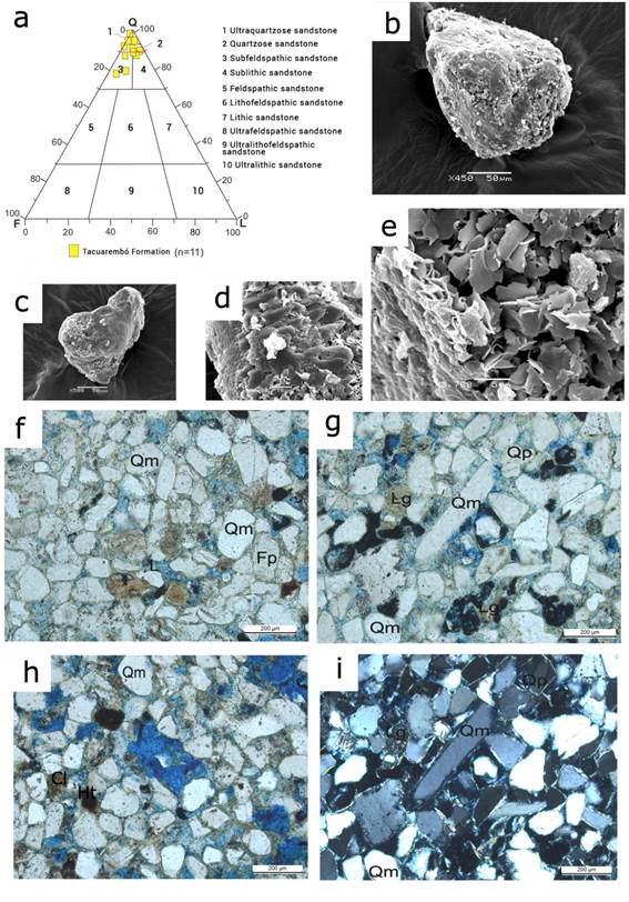 a. Classification of the sandstones of the Tacuarembó
Formation. Microphotographs taken with a scanning electron microscope for the
Tacuarembó Formation: b-c. subangular quartz clasts, d-e. Clays of the group of
smectites. f. Well selected sublithic arenite, with
subangular to subrounded clasts, predominantly straight clast contacts, clay and cement matrix. Note the primary and secondary
porosity. g. i. Subarkose
with moderate selection. It presents clay cement with low primary porosity and
high secondary porosity, acicular clasts are observed.
In natural light (g) and with crossed nicols (i). h. Well selected sublithic
arenite, with hematite and clay cement. It is noted that in some sectors there
is greater interstitial (primary) porosity and in other sectors greater
cementation is observed and therefore, less porosity. Qm:
Monocrystalline quartz, Lg: Granitic lithics. Fp:
Feldspars