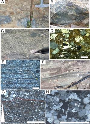 Outcrops and thin sections of the CFFm A coarse polymictic conglomerate B volcanoclastic breccia C conglomeratic sandstones D detrital pelite P and volcanic clasts Vm in a lithic arenite E alternation of detrital quartzfeldspar and illitechlorite laminae turbiditic facies OU F sandstone outcrop G normal grading in turbiditic sandstones H albitized plagioclase in fine sandstone showing concaveconvex grain contacts Scale bar represents 200 µm