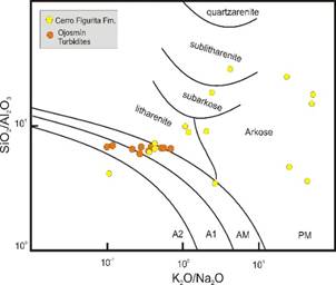 K2O/Na2O-SiO2/Al2O3 after Roser and Korsh(31) and Pettijohn
and Potter(32). PM: passive Margin, AM: active
margin, A1: arc setting, A2: evolved arc setting