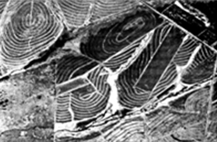 Aerial view of La Sorpresa. Fields with grassed strips for contour farming.